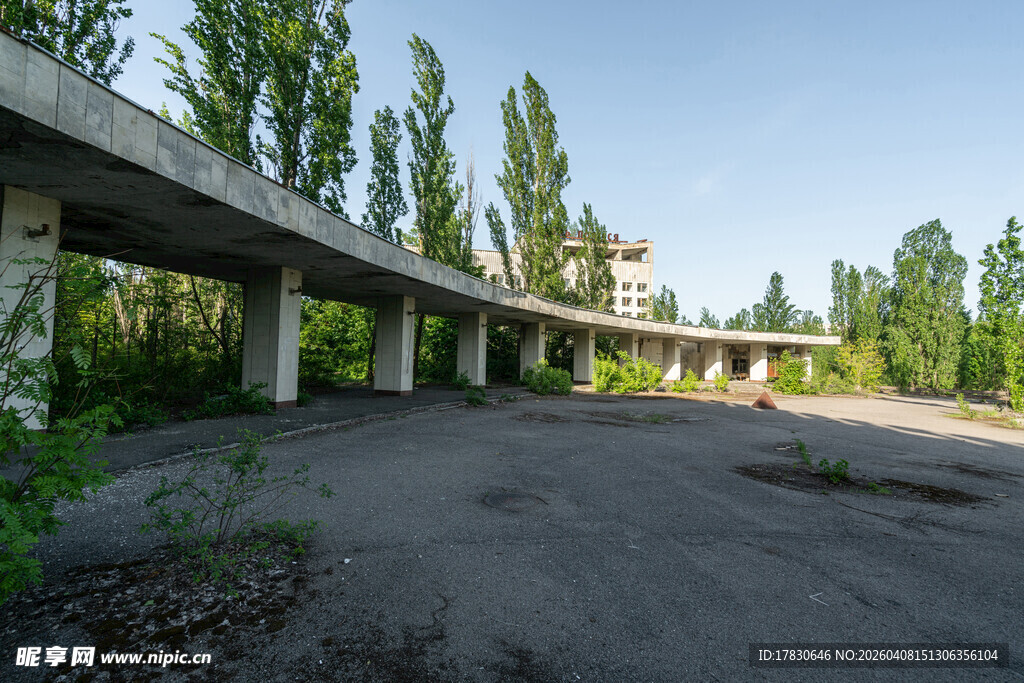 废弃高架桥荒芜周边景象