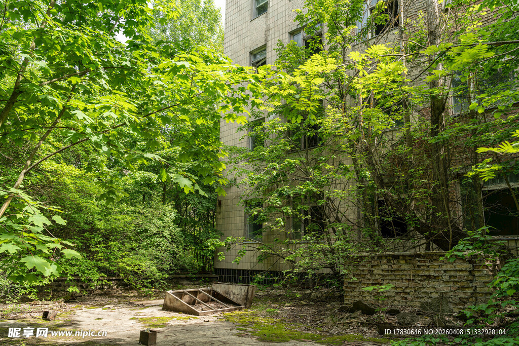 废弃建筑被绿植环绕