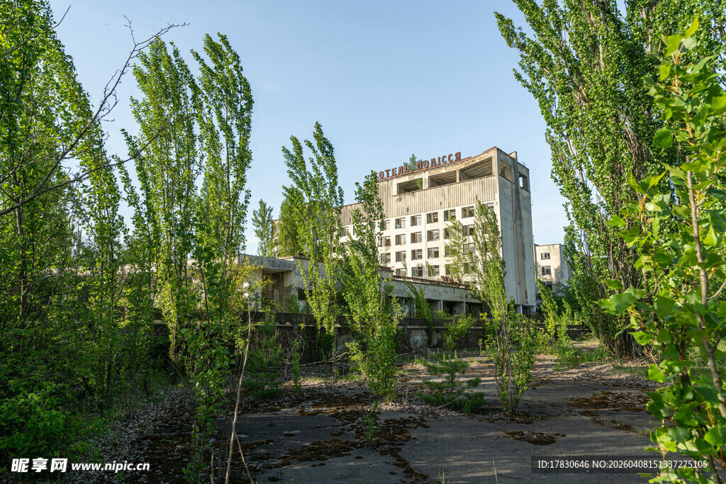 废弃建筑旁的葱郁树木