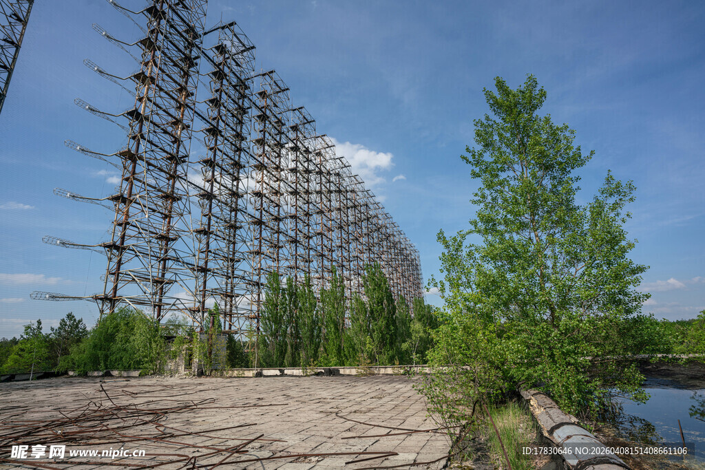 废弃木构架旁的葱郁绿树