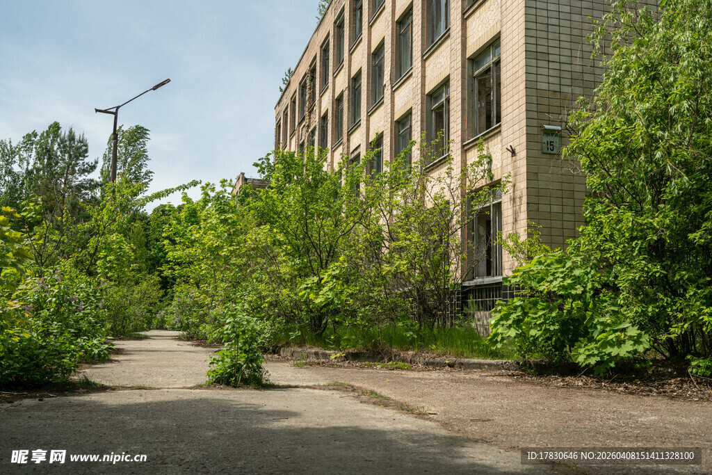 废弃建筑旁的繁茂绿植