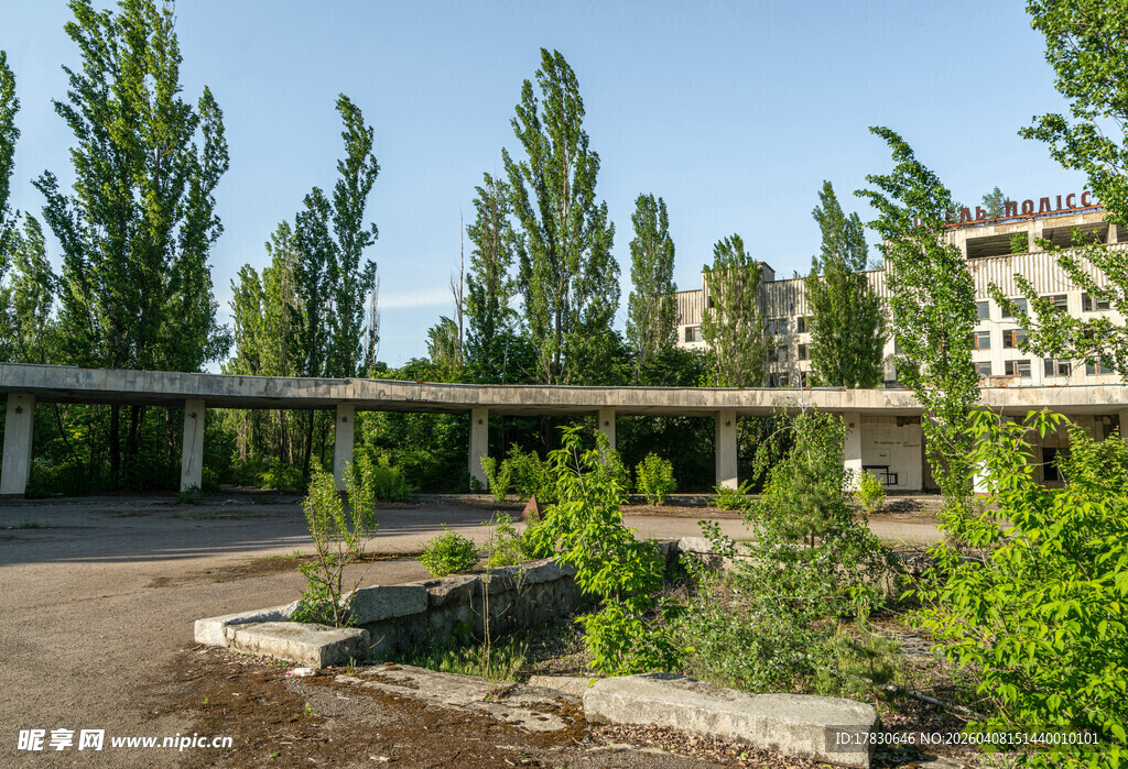 户外绿植环绕的休憩空间