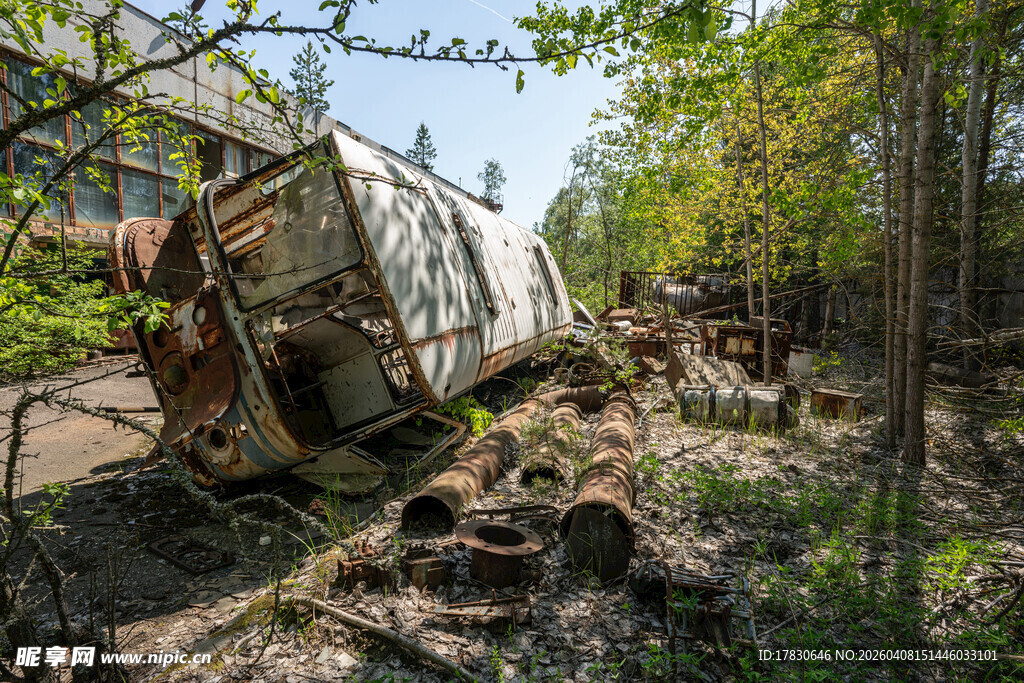 侧翻在林间的破旧车辆