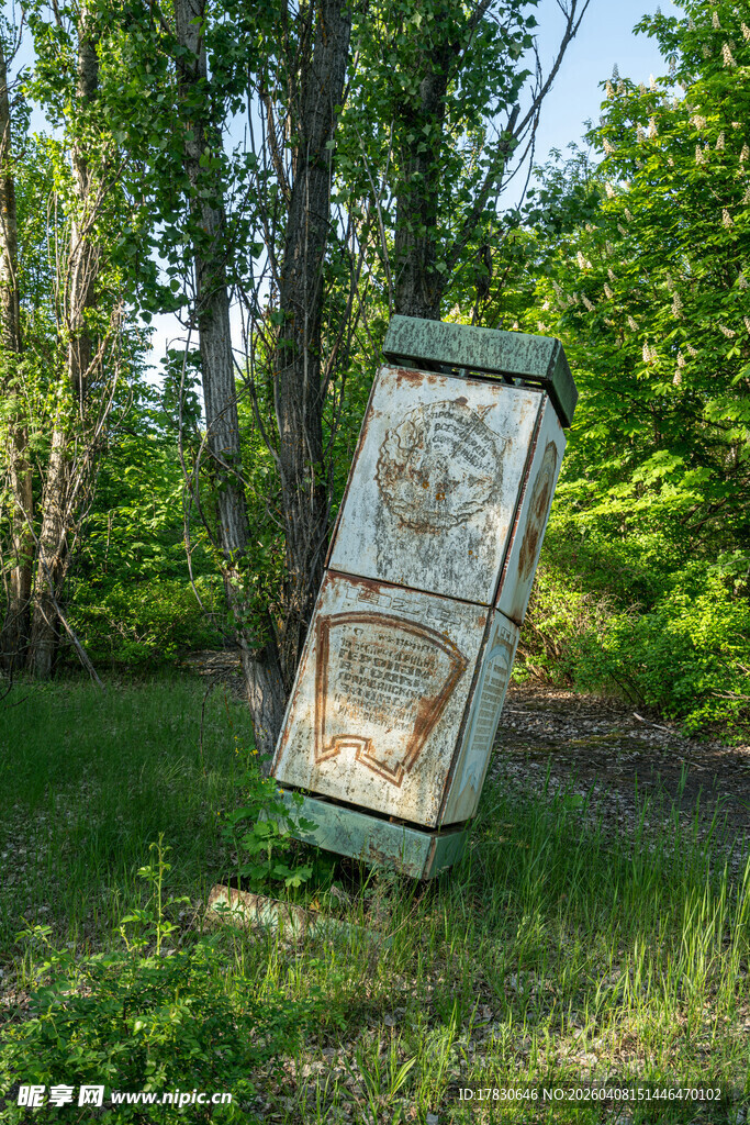倾斜的旧冰箱于绿意中