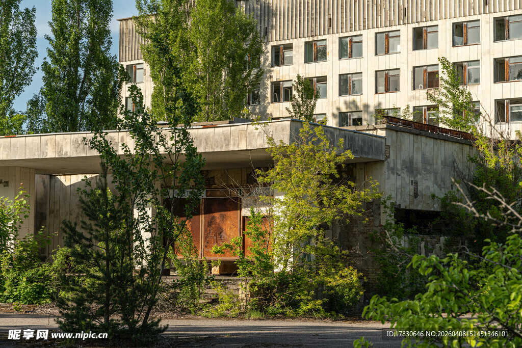 废弃建筑旁的绿植景观
