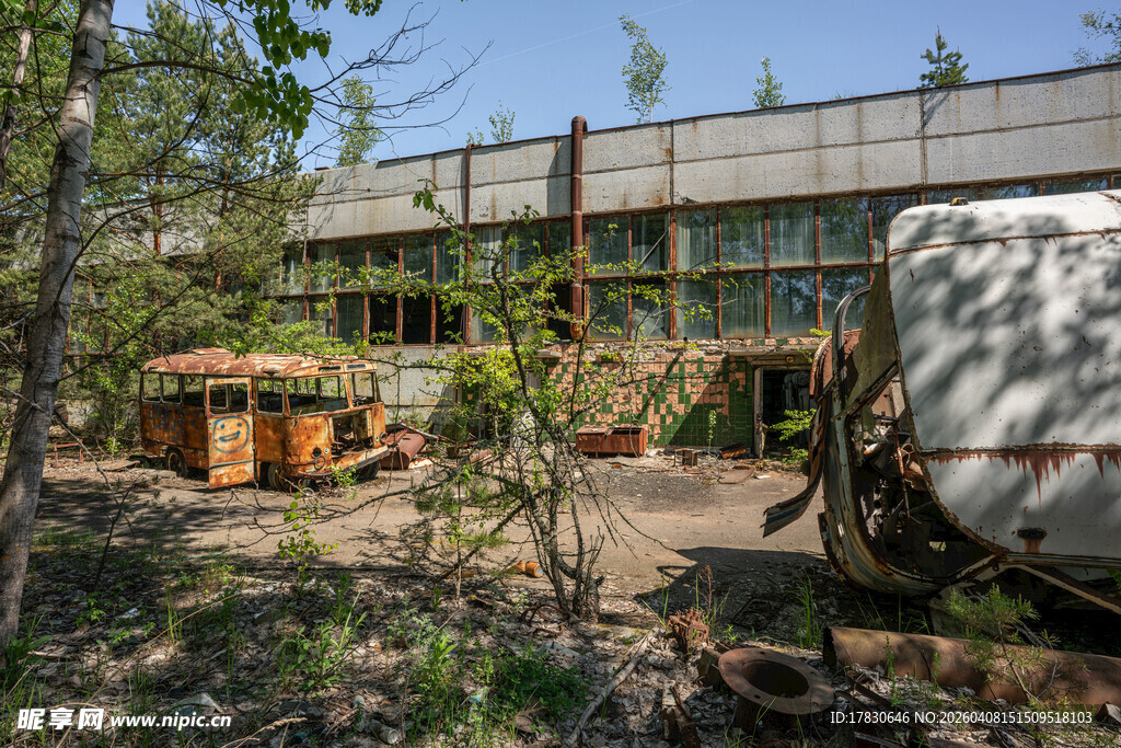 户外养蜂场景及蜂箱设施