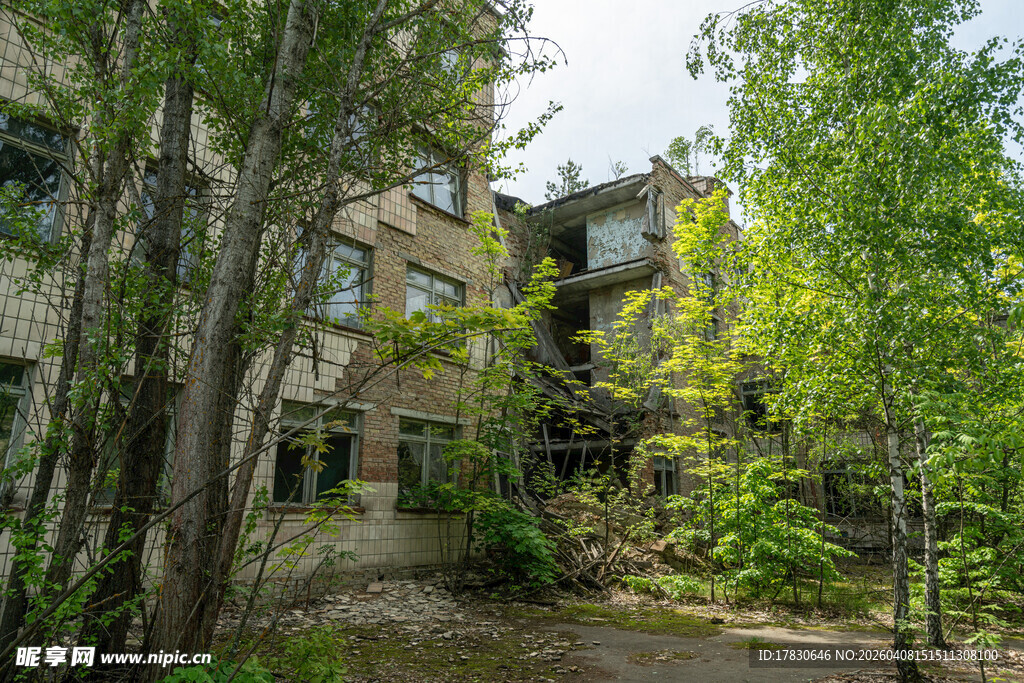 废弃建筑被绿植环绕