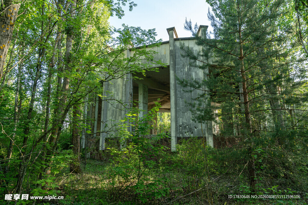森林中的废弃建筑