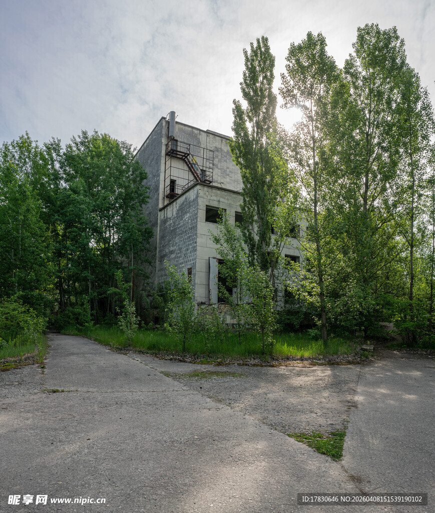 废弃建筑旁的葱郁树林