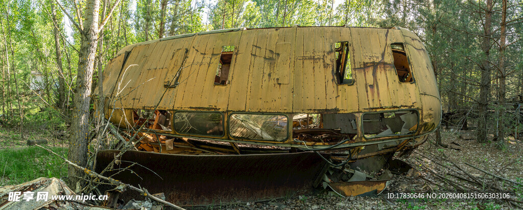 废弃黄色车辆于林间