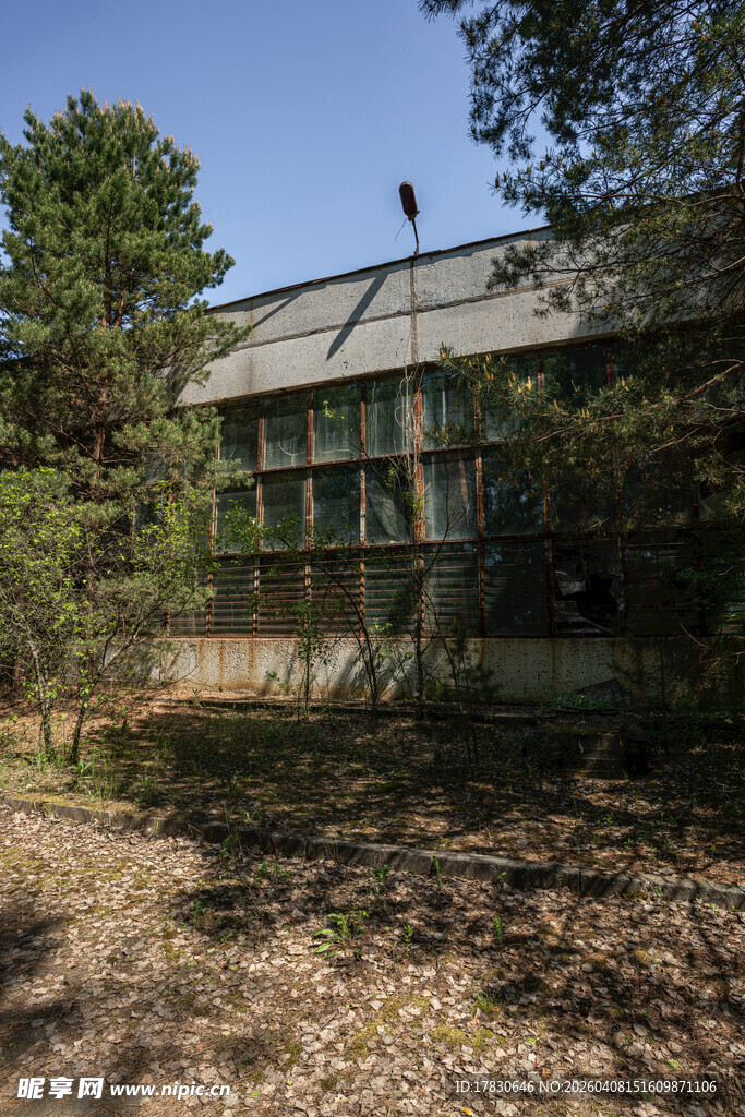 林间木屋静谧自然景致