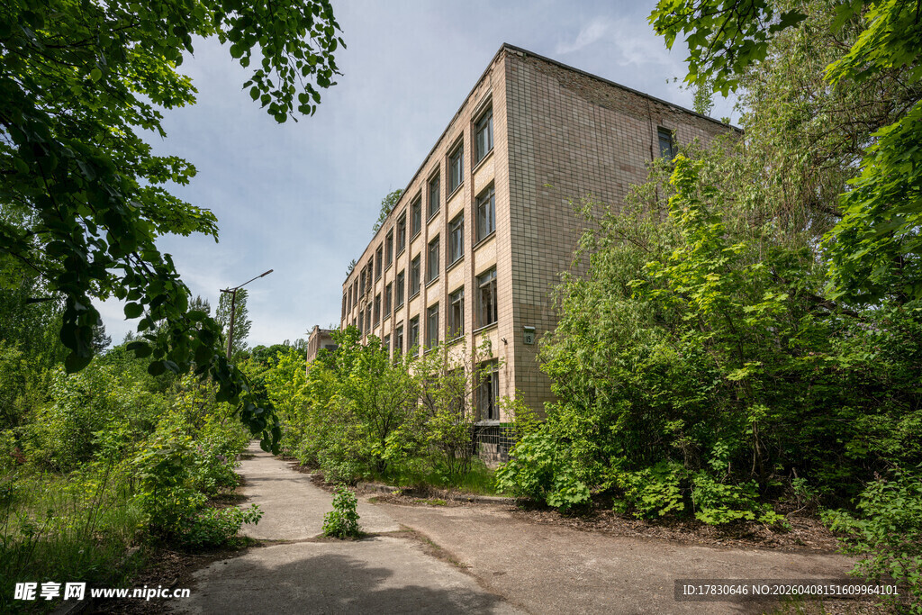 废弃建筑旁的绿意小道