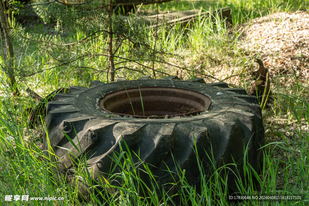 废弃草地中的旧轮胎