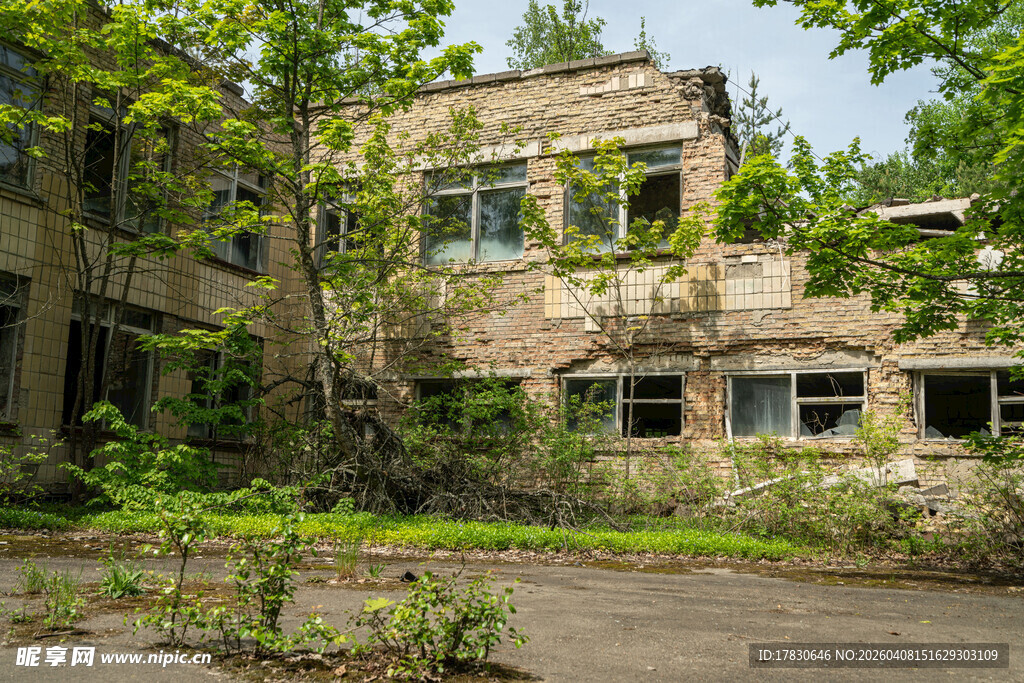 废弃建筑被绿植环绕