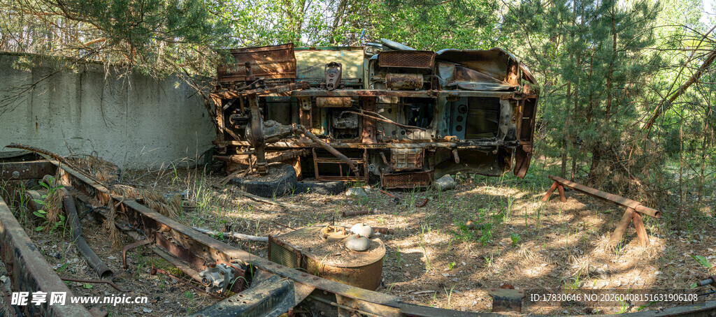 废弃车辆残骸杂草丛生处