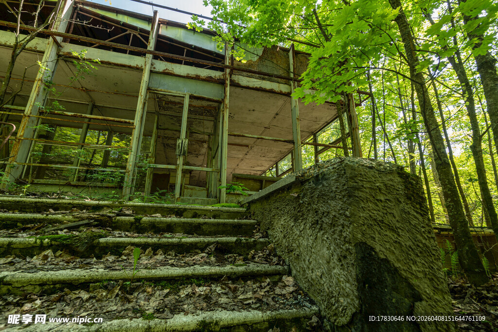 废弃林间建筑与石阶