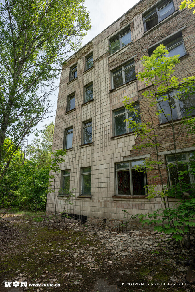 废弃楼房被绿植环绕