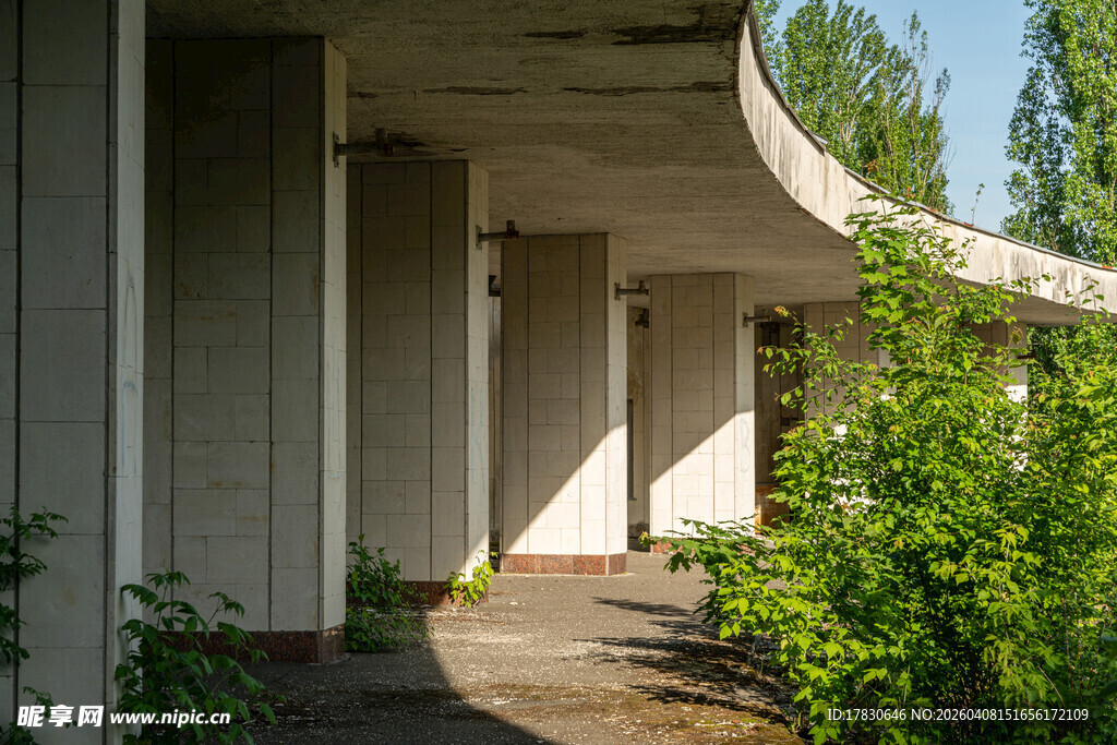 废弃建筑旁的绿植景观