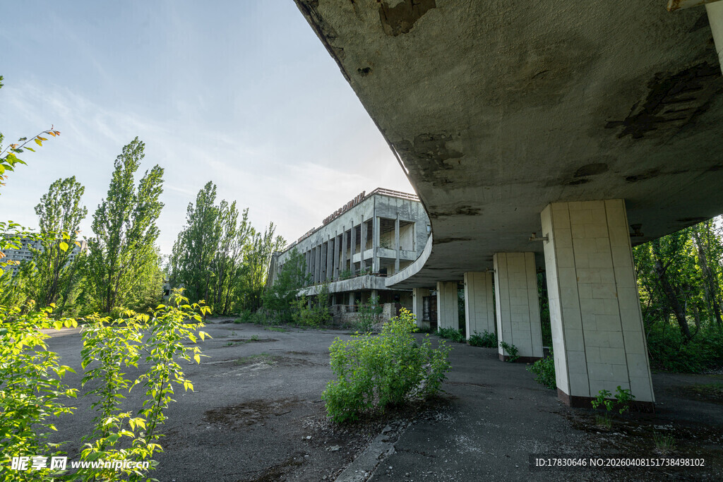 废弃建筑旁的绿植景观
