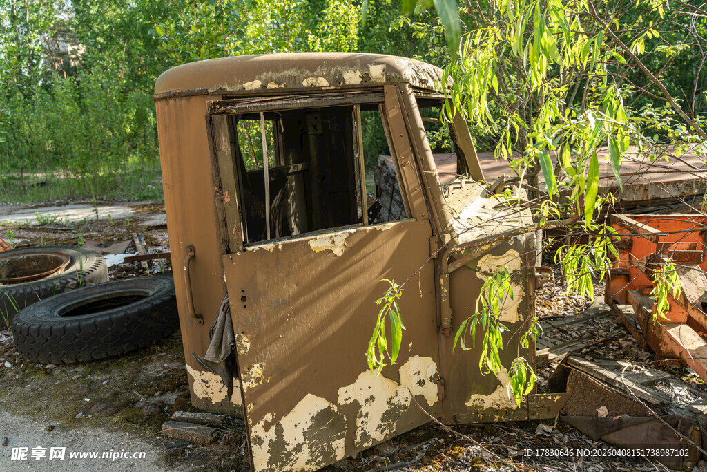 废弃迷彩卡车绿植相伴