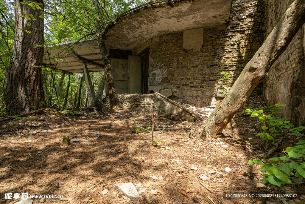 森林中的古朴石砌小屋