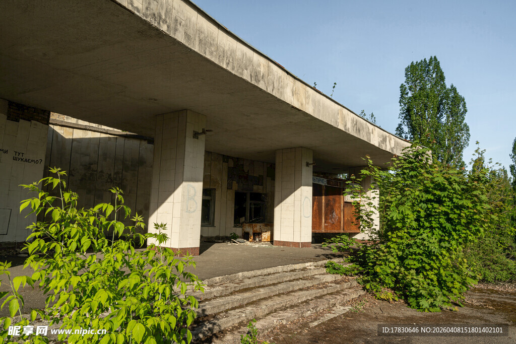 废弃建筑旁的绿植景观
