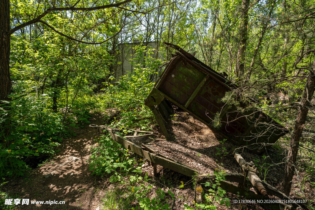 森林中的废弃老旧物件
