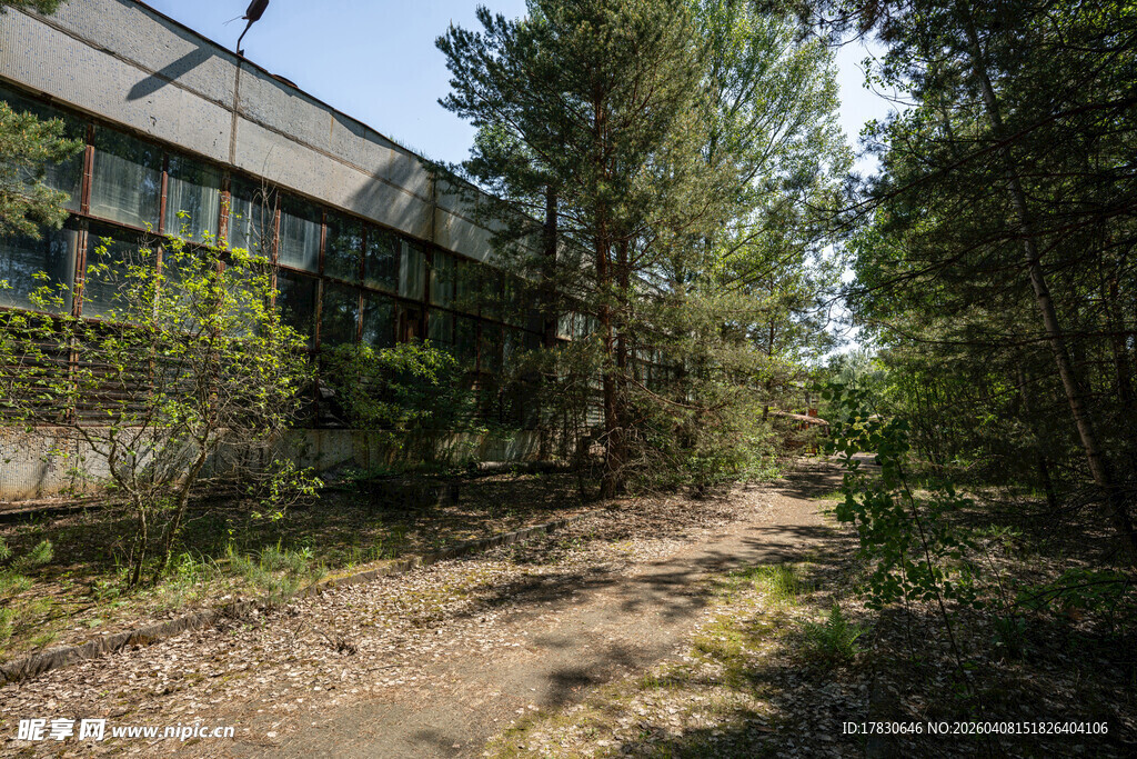 废弃工厂旁的林间小道