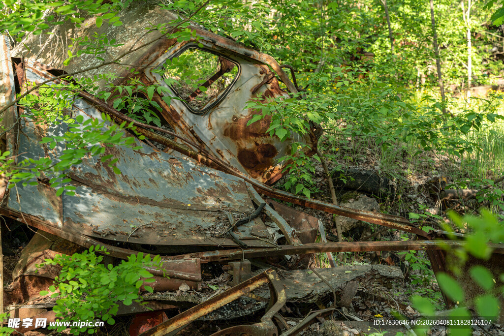 废弃机械被绿植环绕
