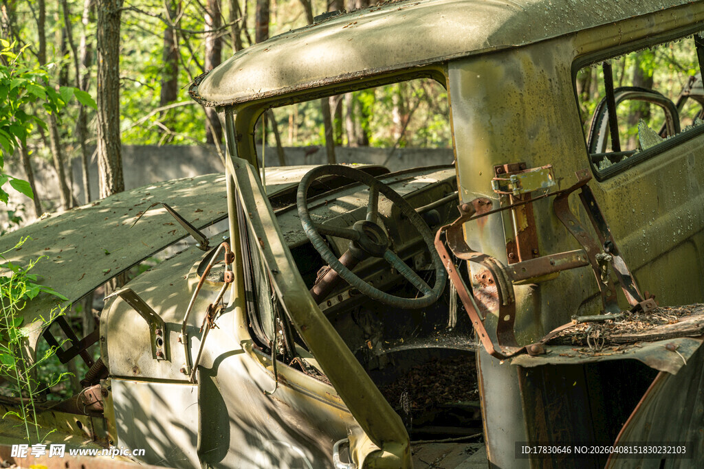 废弃丛林中的老旧汽车