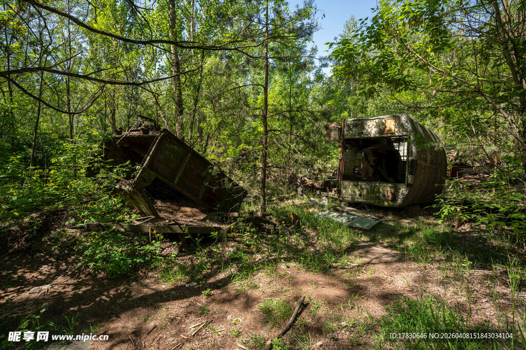 林间废弃小屋的静谧景象