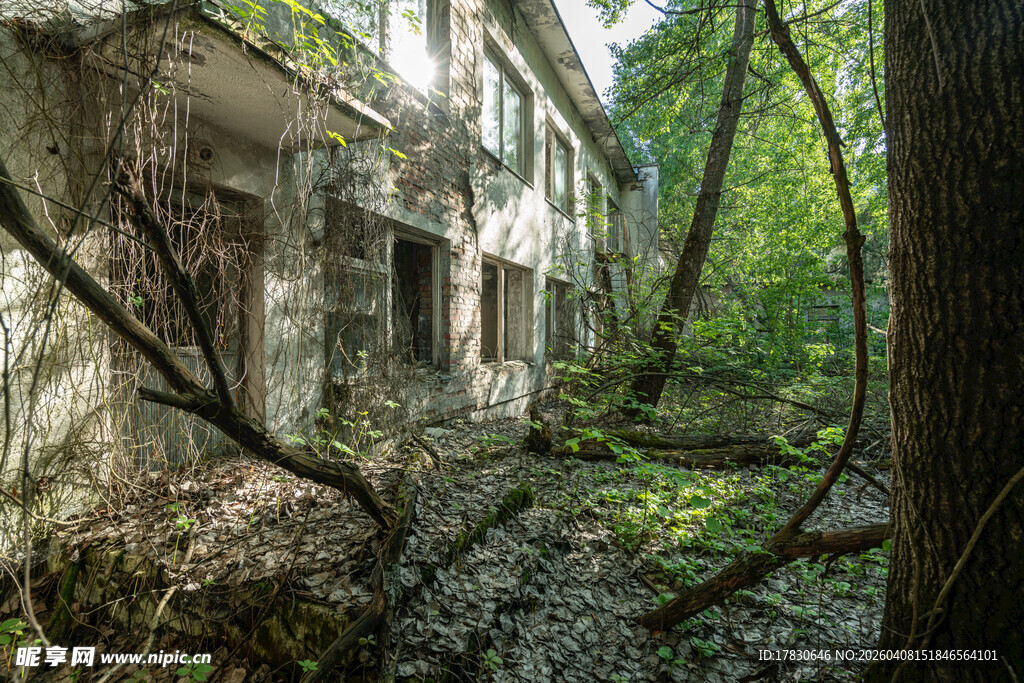 废弃建筑被绿植缠绕景象