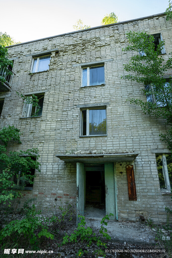 废弃石砌建筑绿植环绕