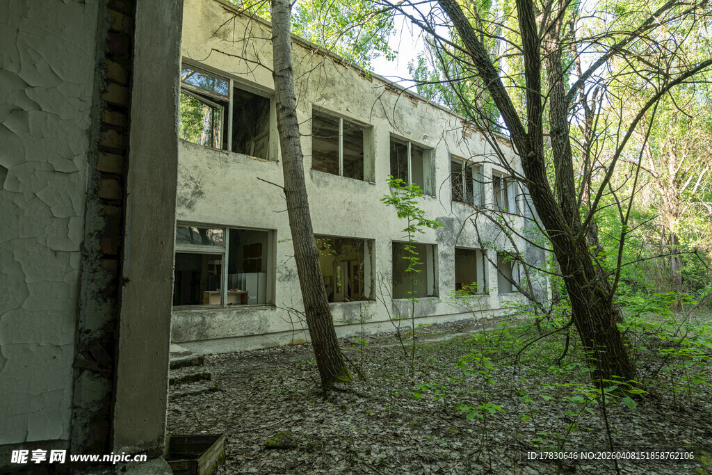 废弃建筑隐于林间