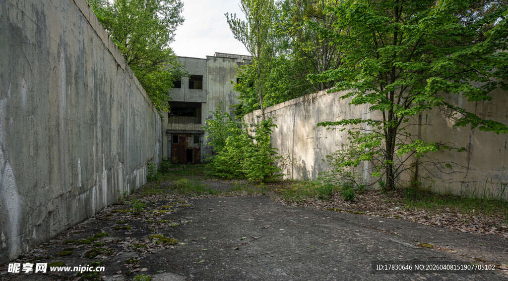 废弃巷道中的荒芜景象