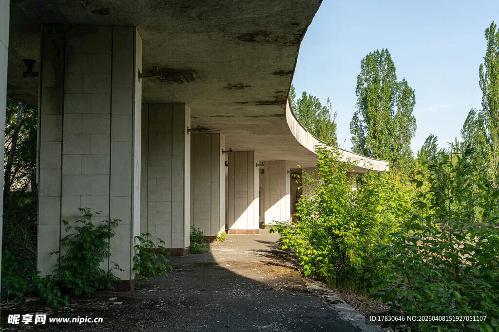 废弃桥下的自然景象