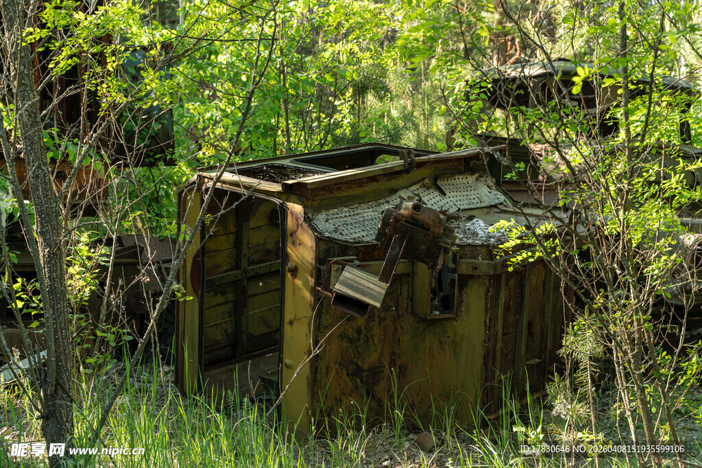 丛林中废弃生锈的金属箱