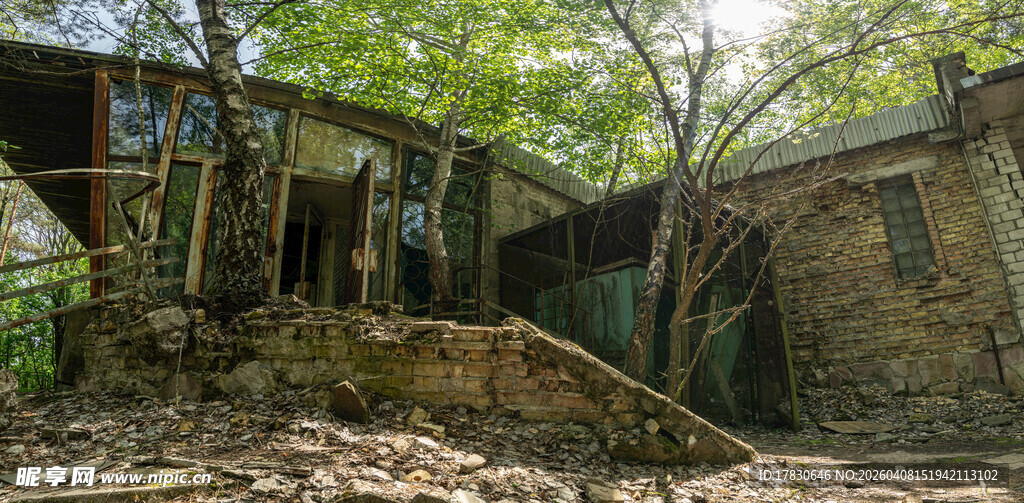 废弃破旧房屋隐于树林间