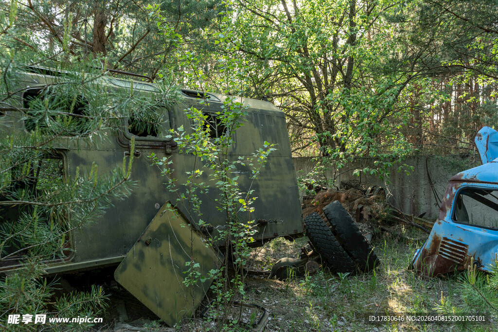 废弃车辆藏身茂密树林中