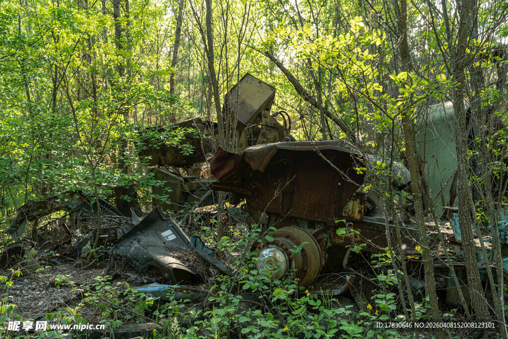 森林中的废旧物品堆积