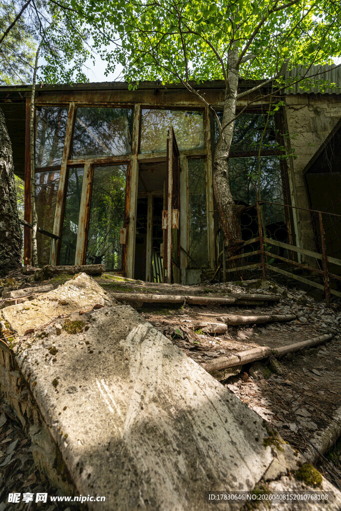 废弃林中木屋尽显沧桑