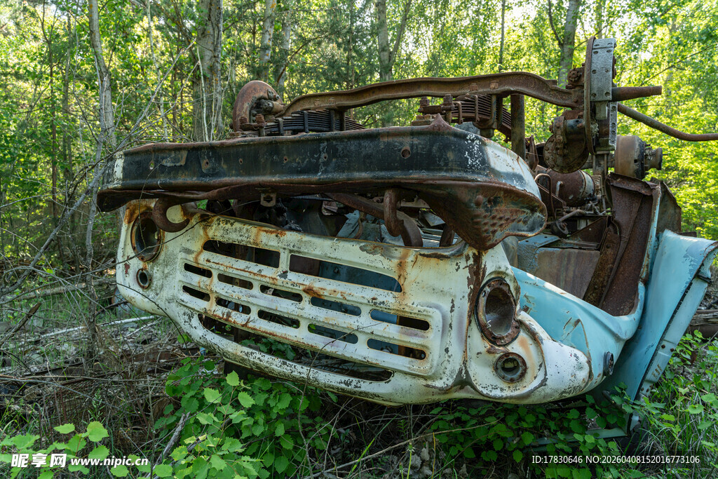 废弃林中的老旧汽车残骸