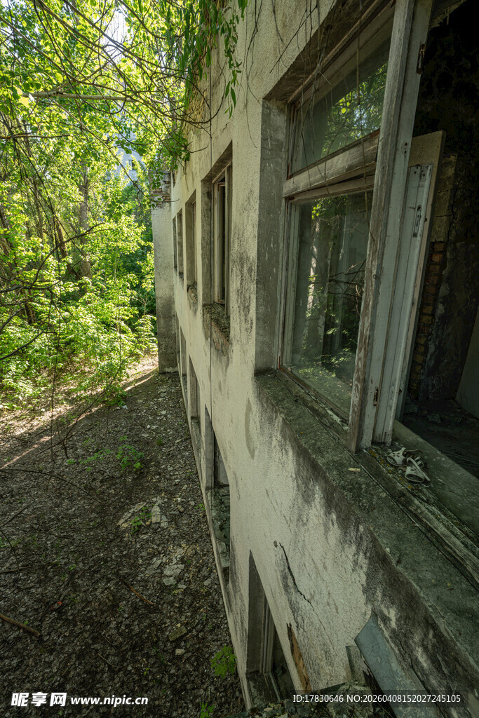 废弃建筑旁的葱郁树林