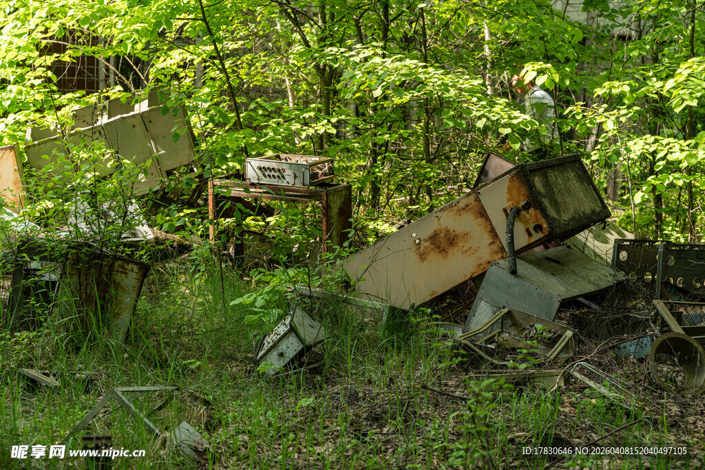 废弃杂物藏身绿意丛林中
