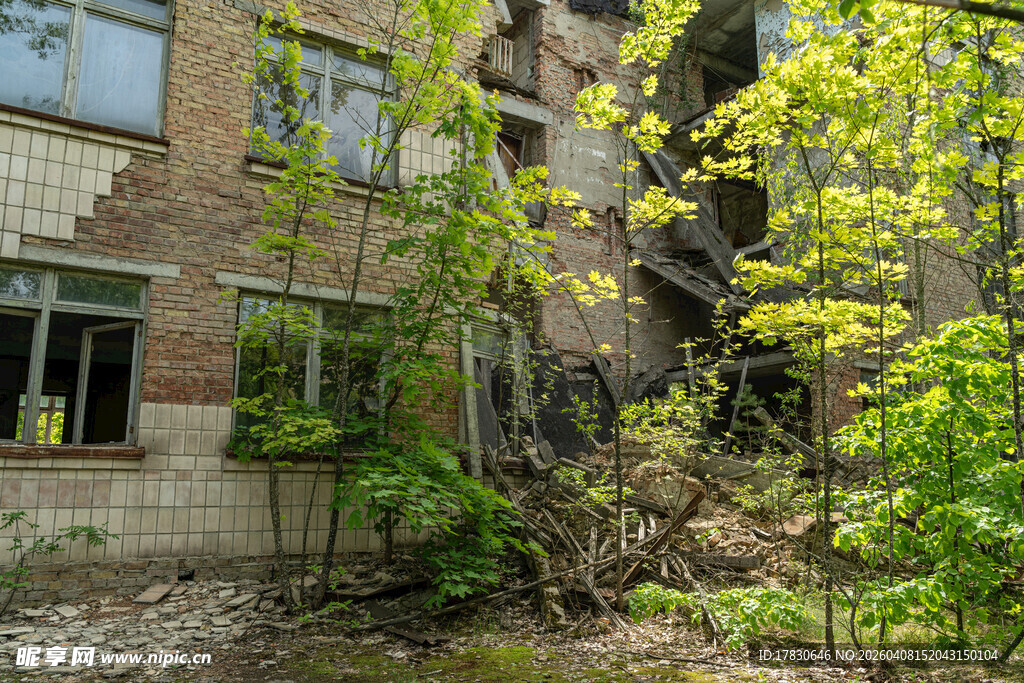 废弃楼房旁的繁茂绿植