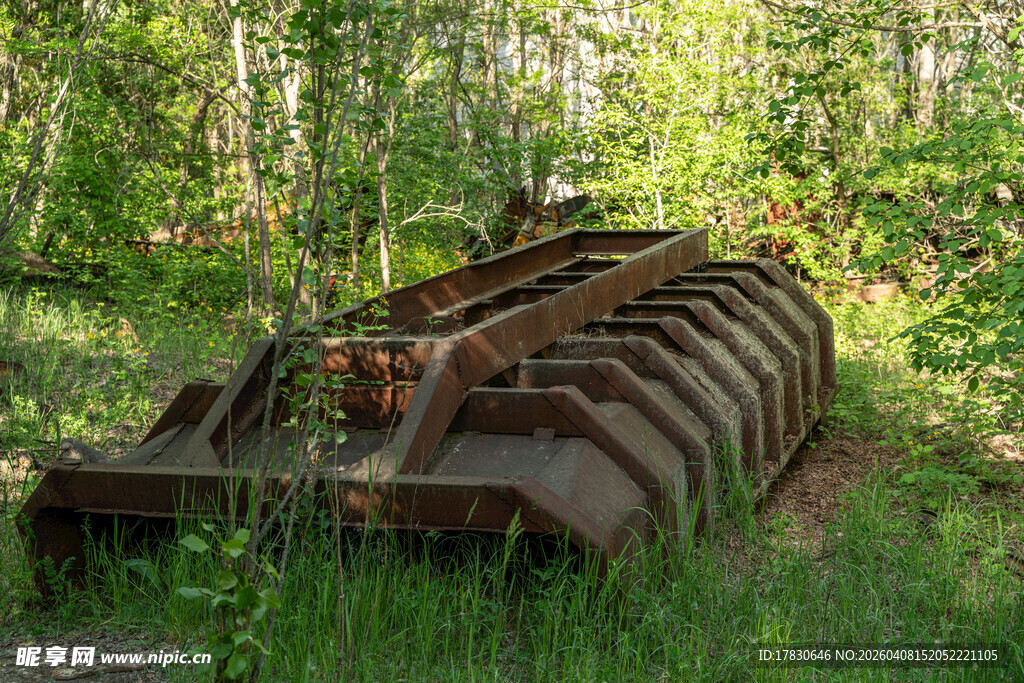 废弃履带式机械于林间