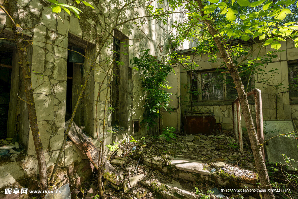 废弃建筑被绿植缠绕景象