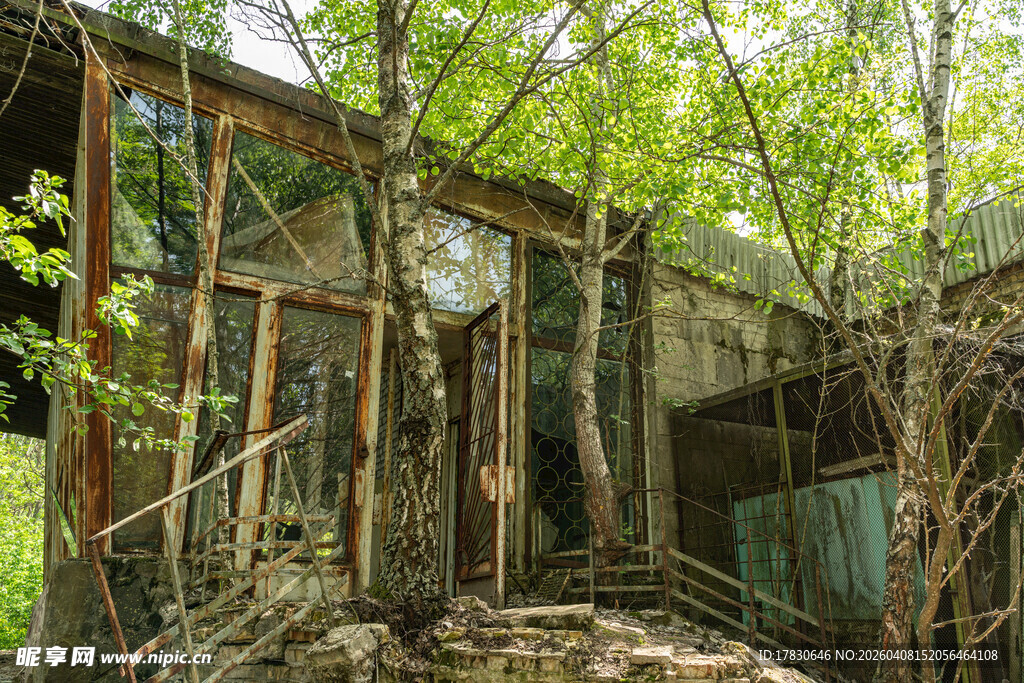 废弃房屋被绿植环绕