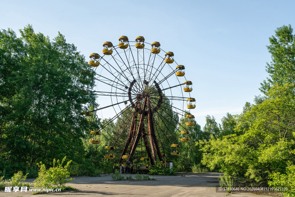 废弃摩天轮隐于葱郁树林