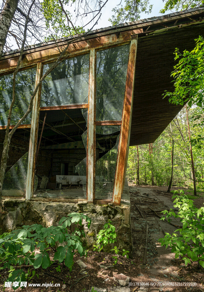 废弃木屋藏身繁茂树林中